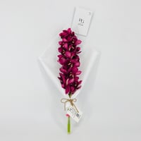 14265 - صورة 1