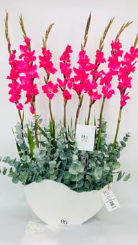 14506 - Image 4