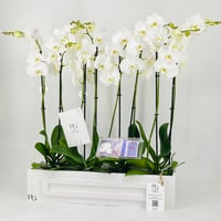 12358 - Image 3