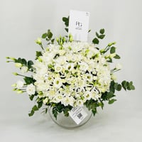 3679 - صورة 2