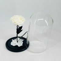 11234 - Image 2
