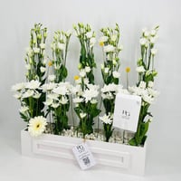 8309-97 - صورة 3