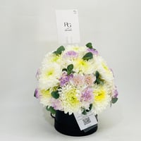 11083-487 - صورة 2