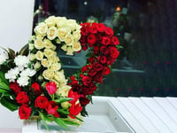 3952-526 - صورة 1