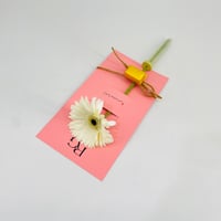 9946-351 - صورة 3