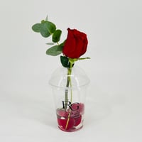 10805 - Image 1