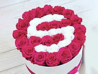 3910 - صورة 1