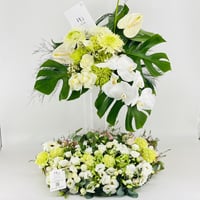 13851 - Image 1