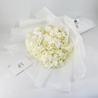 5032 - Image 3