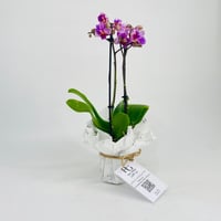 11318-379 - صورة 2