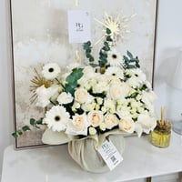 16056 - صورة 2