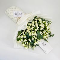9924-559 - صورة 1