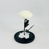 11234 - Image 3