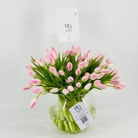 8166-840 - صورة 2