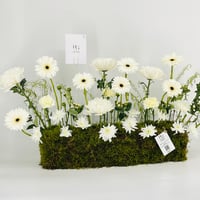 12949 - Image 2