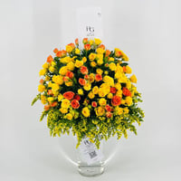 8171-116 - صورة 1