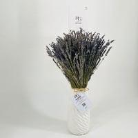 3693-50 - Image 2