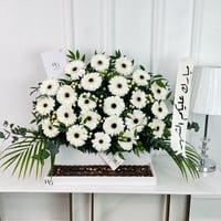 16912 - Image 1