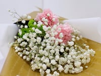 051 - صورة 4