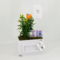 12832 - Image 3