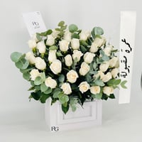 13541 - صورة 2