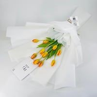5026 - صورة 3
