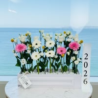 15680 - Image 1