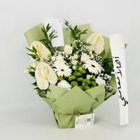 13526 - صورة 2
