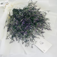 5048 - Image 2