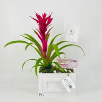 12432 - Image 1