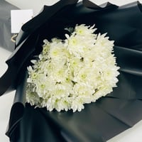 13189 - صورة 2