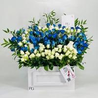 11180-714 - صورة 1