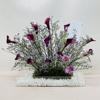 7672 - صورة 1