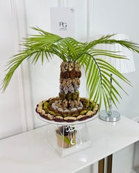 16854 - صورة 2