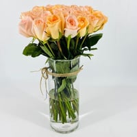 496-166 - صورة 2