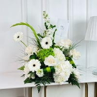 17339 - صورة 3