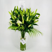 2594-428 - صورة 3