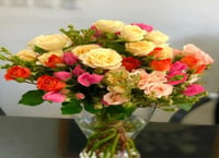 1240-17 - صورة 1