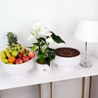 17869 - Image 1