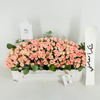 13924 - Image 5