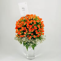 9916-801 - صورة 3