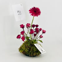 13644 - صورة 4