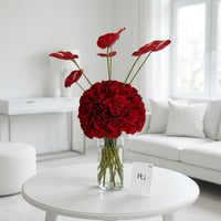 26877 - Image 1