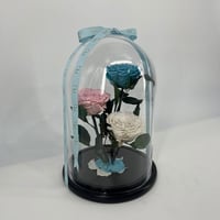 2105 - Image 2