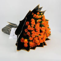 5081-549 - صورة 1