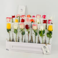 13298-820 - صورة 4