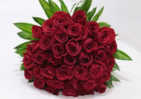 3017-330 - صورة 3