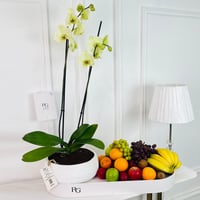 16990 - Image 1