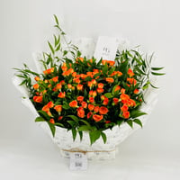10404-298 - صورة 3