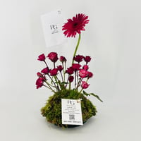 13644 - صورة 5